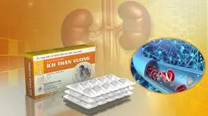 Tại sao thận lại quan trọng đối với cơ thể
